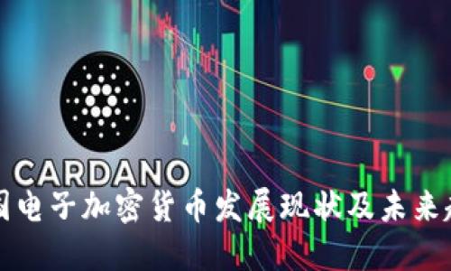 美國電子加密貨幣發(fā)展現(xiàn)狀及未來趨勢