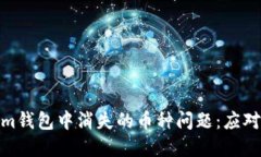 如何解決Tokenim錢(qián)包中消失