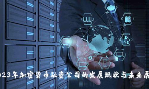 2023年加密貨幣融資公司的發(fā)展現(xiàn)狀與未來展望