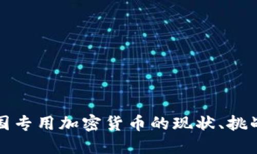 深入探討美國專用加密貨幣的現(xiàn)狀、挑戰(zhàn)與未來發(fā)展