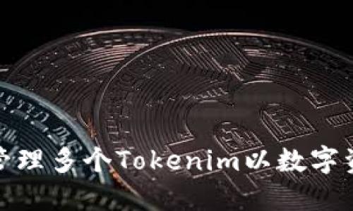 如何創(chuàng)建和管理多個Tokenim以數(shù)字資產(chǎn)投資策略