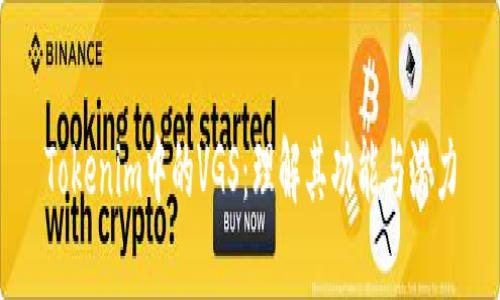 Tokenim中的VGS：理解其功能與潛力