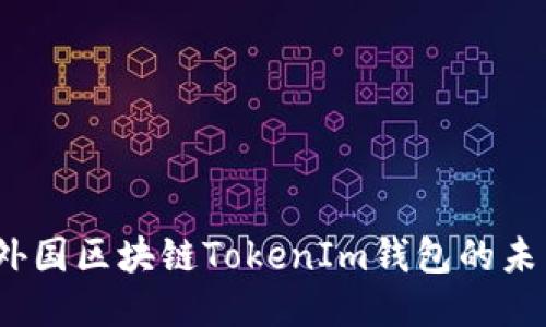探索糖果網(wǎng)：外國區(qū)塊鏈TokenIm錢包的未來潛力與應(yīng)用