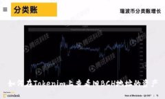 如何在Tokenim上查看舊BCH地