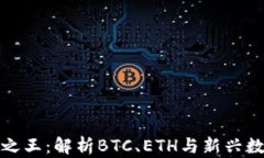 中國(guó)加密貨幣之王：解析