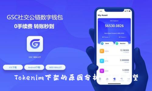 Tokenim下架的原因分析與未來展望