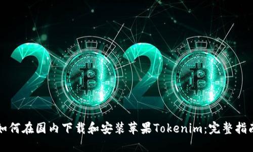 如何在國內(nèi)下載和安裝蘋果Tokenim：完整指南