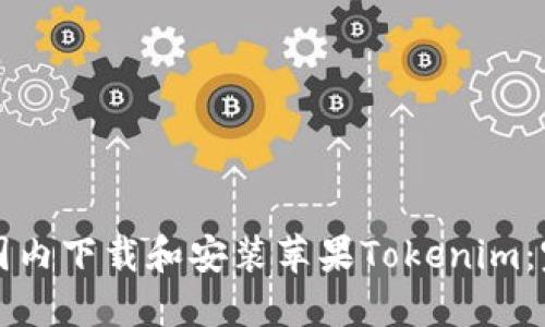 如何在國內(nèi)下載和安裝蘋果Tokenim：完整指南