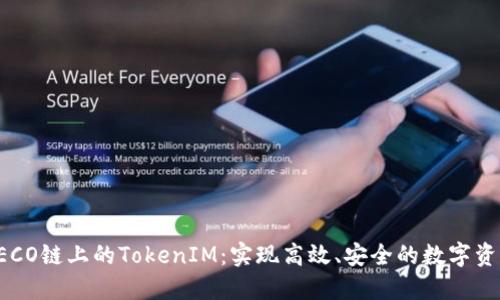 探究HECO鏈上的TokenIM：實(shí)現(xiàn)高效、安全的數(shù)字資產(chǎn)管理
