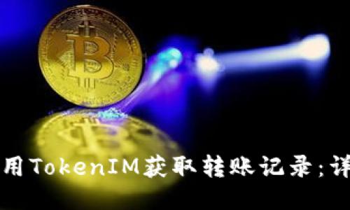 如何使用TokenIM獲取轉(zhuǎn)賬記錄：詳盡指南