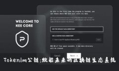 Tokenim公鏈：賦能未來的區(qū)