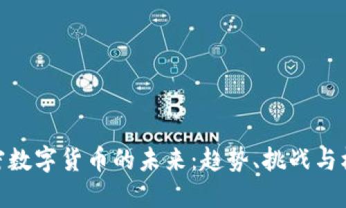 加密數(shù)字貨幣的未來：趨勢、挑戰(zhàn)與機遇