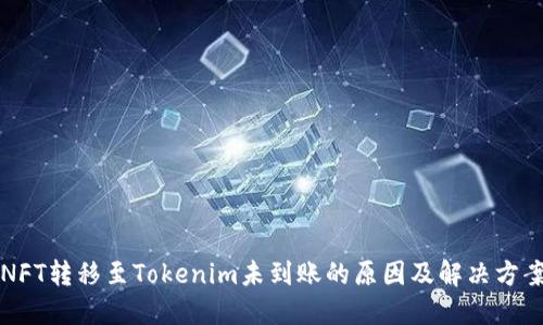 NFT轉移至Tokenim未到賬的原因及解決方案