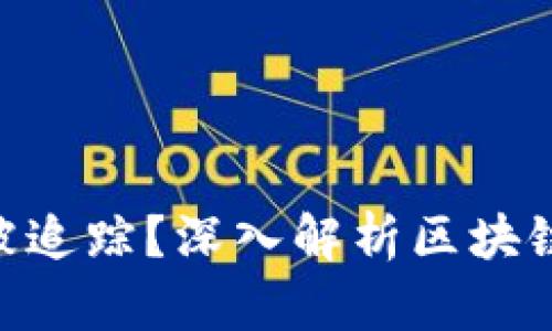 Tokenim是否能被追蹤？深入解析區(qū)塊鏈隱私與監(jiān)控問題