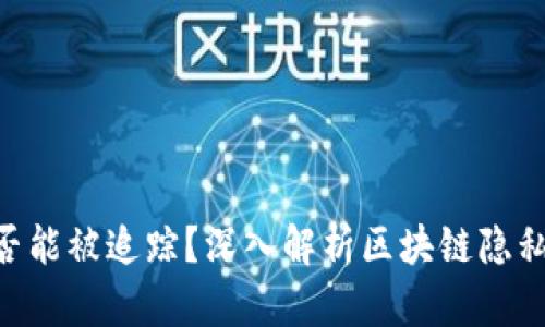 Tokenim是否能被追蹤？深入解析區(qū)塊鏈隱私與監(jiān)控問題