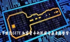 天下財經(jīng)CCTV：加密貨幣的