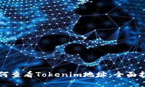 如何查看Tokenim地址：全面指南