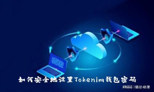 如何安全地設(shè)置Tokenim錢包密碼