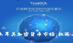 深入了解土耳其加密貨幣