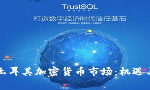 深入了解土耳其加密貨幣市場：機遇與挑戰(zhàn)解析
