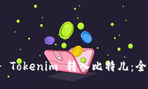 如何將 Tokenim 轉(zhuǎn)入比特兒：全面指南