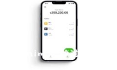 如何解決Tokenim啟動(dòng)過(guò)程中