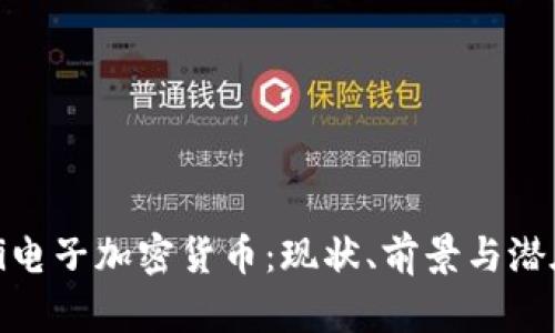 揭秘Pi電子加密貨幣：現(xiàn)狀、前景與潛在應(yīng)用