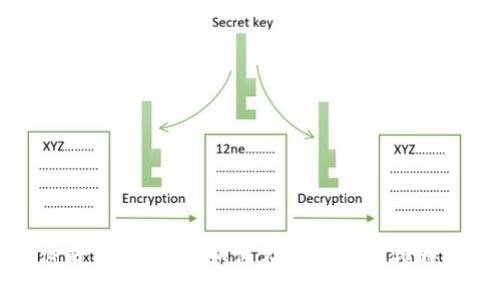 投資加密貨幣的女性：如何在數(shù)字資產(chǎn)領(lǐng)域獲得成功
