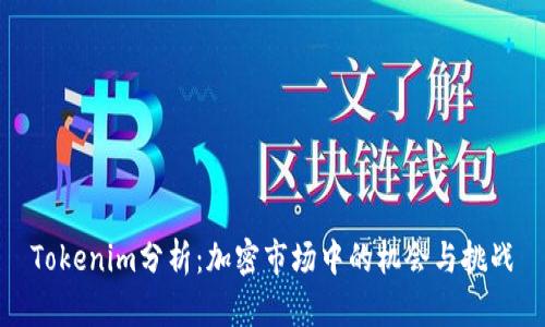 Tokenim分析：加密市場中的機(jī)會(huì)與挑戰(zhàn)
