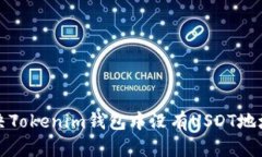 如何解決Tokenim錢包中沒有