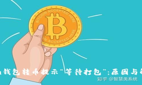 Tokenim錢包轉(zhuǎn)幣提示“等待打包”：原因與解決方案