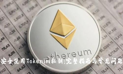 如何安全使用Tokenim私鑰：完整指南與常見(jiàn)問(wèn)題解答