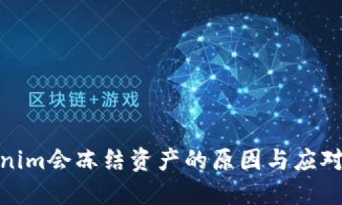 Tokenim會凍結(jié)資產(chǎn)的原因與應(yīng)對策略