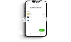 baioti加密貨幣的代幣類型