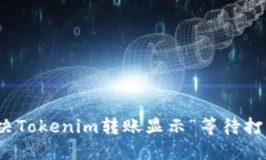 : 如何解決Tokenim轉(zhuǎn)賬顯示