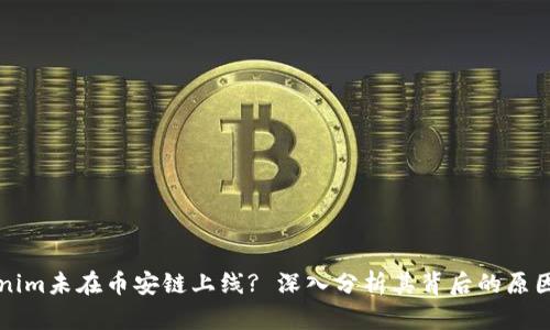 為什么Tokenim未在幣安鏈上線? 深入分析其背后的原因與解決方案