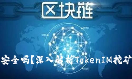 TokenIM挖礦安全嗎？深入解析TokenIM挖礦的風(fēng)險(xiǎn)與對(duì)策