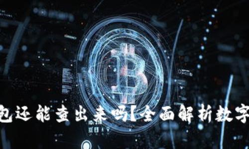 錢打入Tokenim錢包還能查出來嗎？全面解析數(shù)字資產(chǎn)的追蹤與隱私