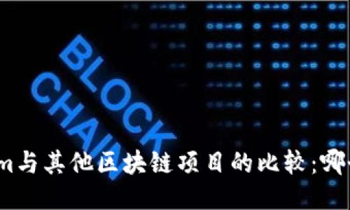 Tokenim與其他區(qū)塊鏈項(xiàng)目的比較：哪個(gè)更好？