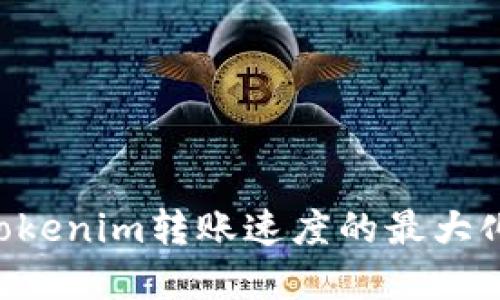 如何實現(xiàn)Tokenim轉(zhuǎn)賬速度的最大化：全面指南