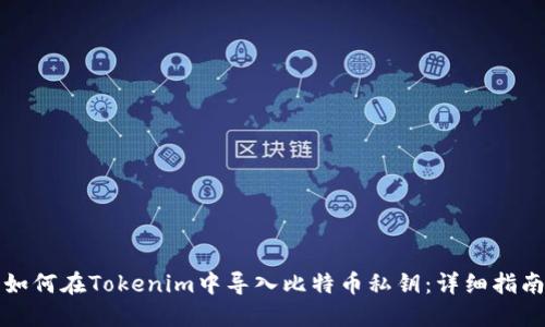 如何在Tokenim中導入比特幣私鑰：詳細指南