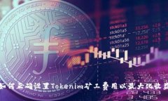 如何正確設(shè)置Tokenim礦工費(fèi)