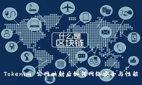 Tokenim 公網(wǎng)映射后如何網(wǎng)絡(luò)安全與性能
