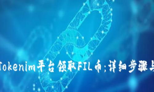 如何通過Tokenim平臺(tái)領(lǐng)取FIL幣：詳細(xì)步驟與注意事項(xiàng)