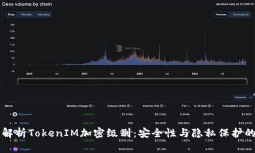 深入解析TokenIM加密級別：安全性與隱私保護的未來