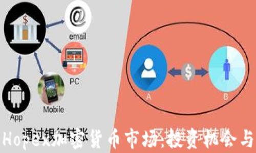 
全面解析Hopex加密貨幣市場(chǎng)：投資機(jī)會(huì)與未來趨勢(shì)