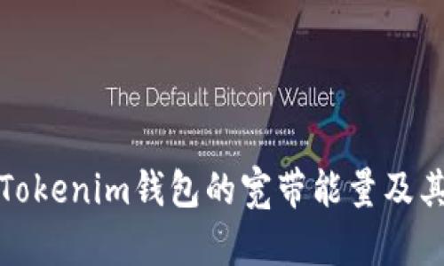 深入解析Tokenim錢包的寬帶能量及其潛在影響