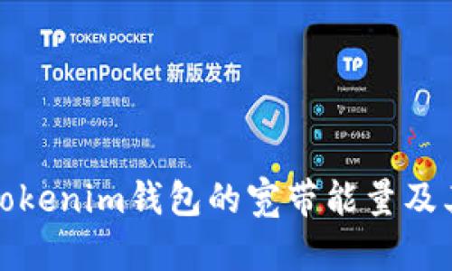 深入解析Tokenim錢包的寬帶能量及其潛在影響