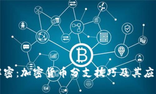 全面解密：加密貨幣分支技巧及其應(yīng)用前景