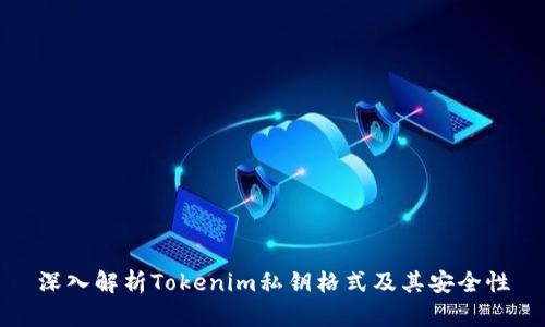 深入解析Tokenim私鑰格式及其安全性